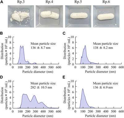 Orally disintegrating tablets containing famotidine nanoparticles provide high intestinal absorbability via the energy-dependent endocytosis pathway